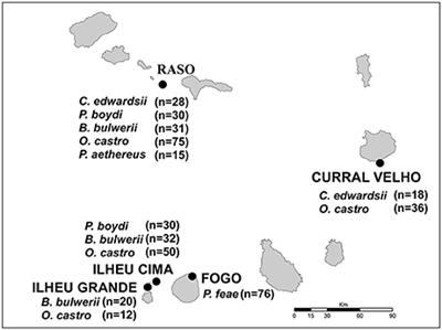 “More Than Meets the Eye”: Cryptic Diversity and Contrasting Patterns of Host-Specificity in Feather Mites Inhabiting Seabirds